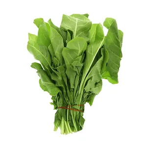 Palak